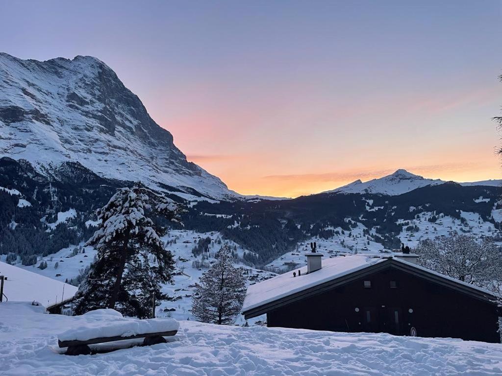 Eiger View Alpine Lodge Grindelwald Kültér fotó