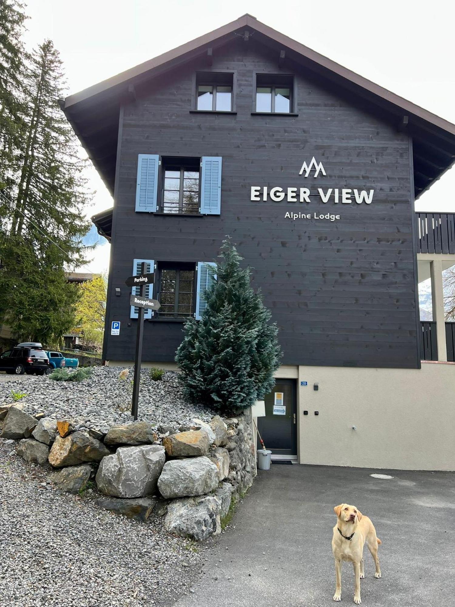 Eiger View Alpine Lodge Grindelwald Kültér fotó