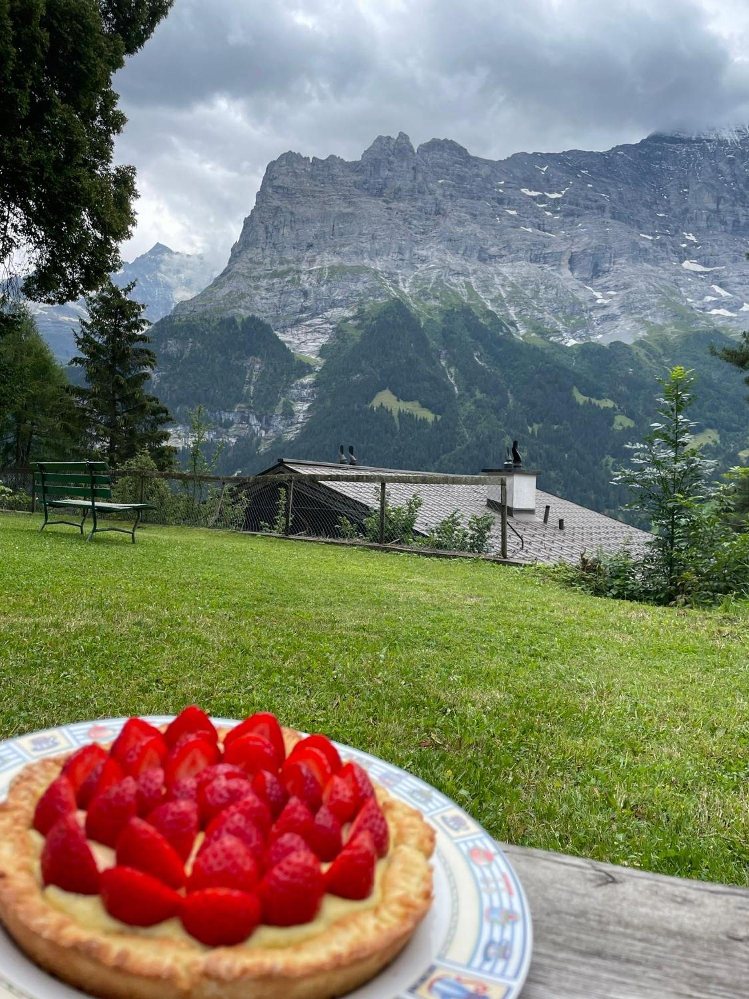 Eiger View Alpine Lodge Grindelwald Kültér fotó